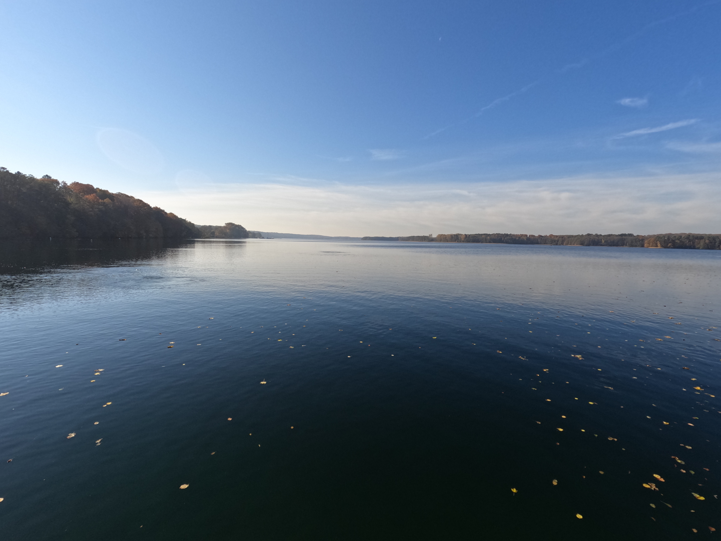 Werbellinsee an der Tauchbasis Werbellinsee Bild - Werbellinsee