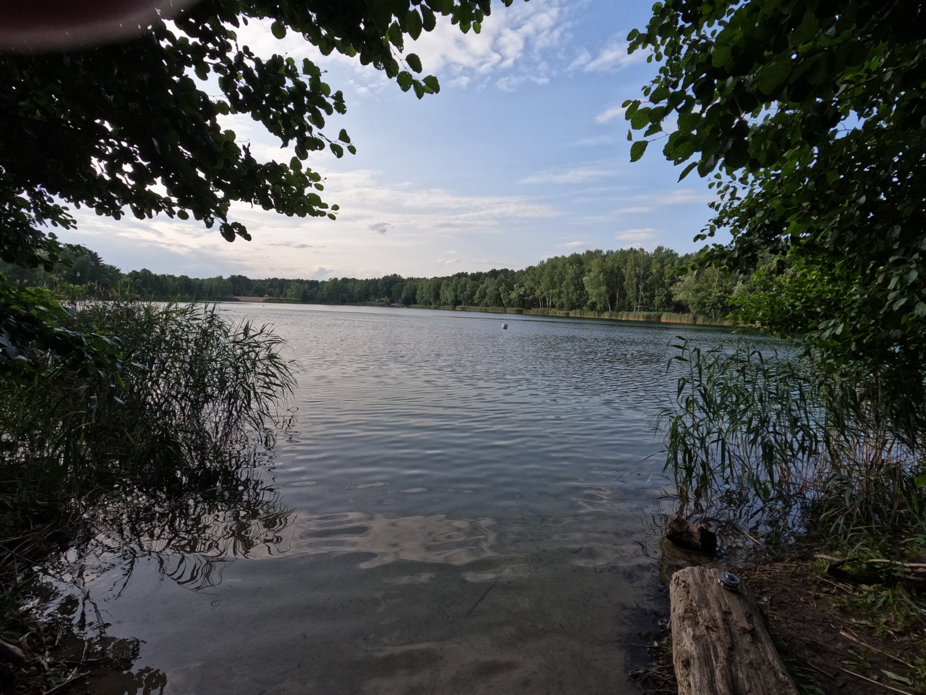 Blick auf den Straussee Bild - Ruhlesee