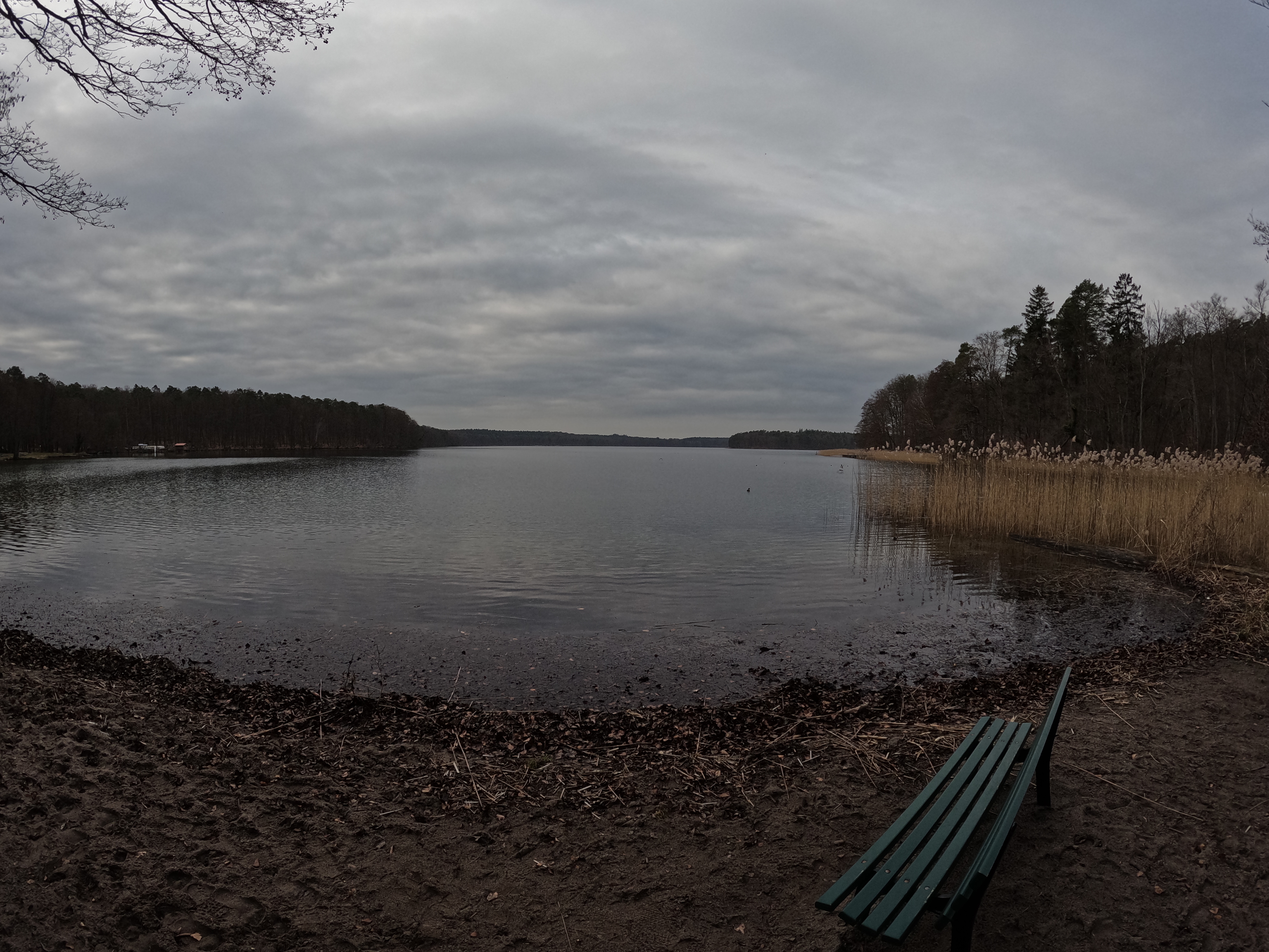 Werbellinsee an der Tauchbasis Werbellinsee Bild - Stechlinsee