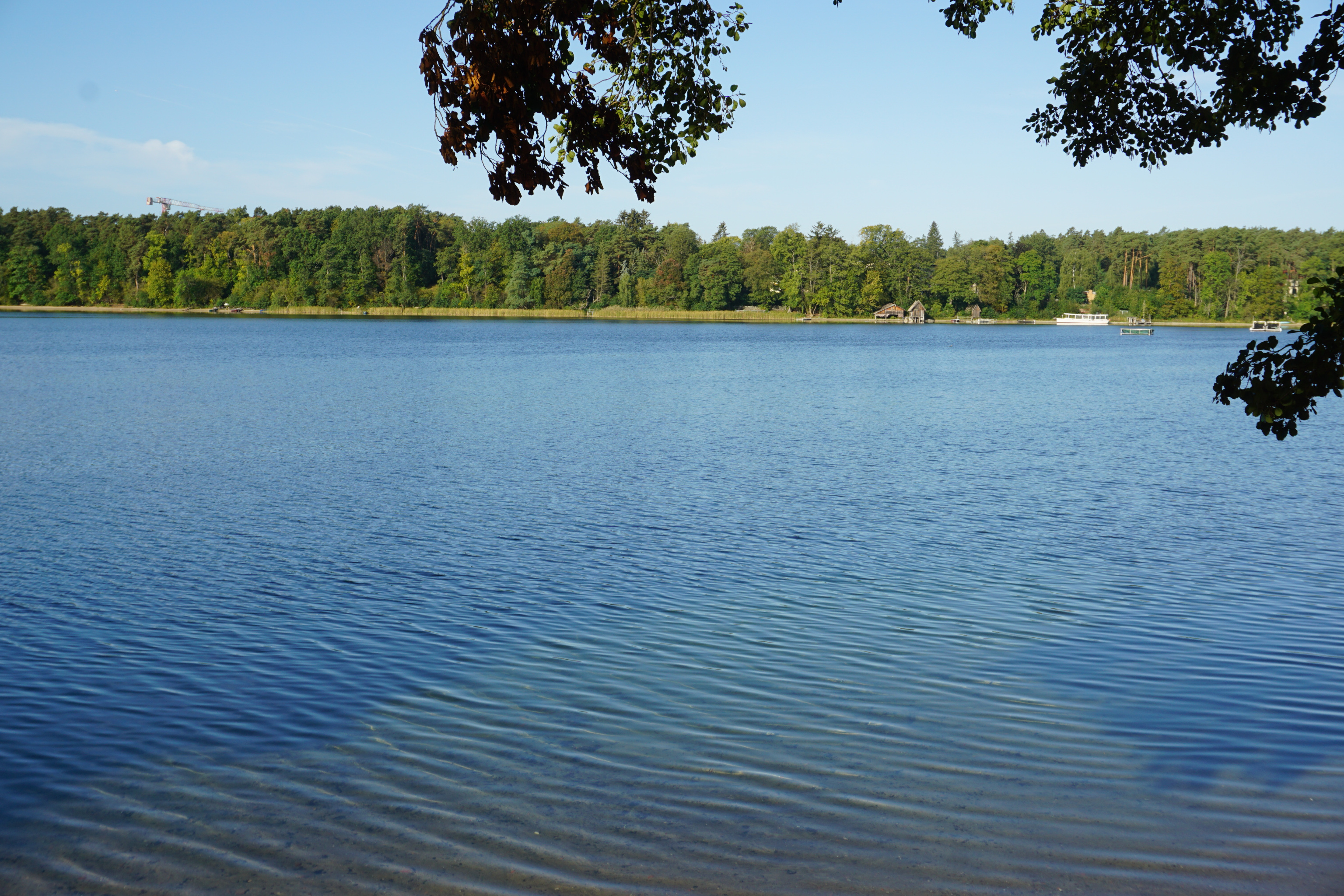 Blick auf den Straussee Bild - Straussee